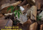 7.