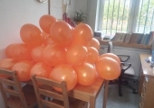IMAG0925
