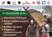 wiking krzywe