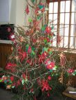 Nasze drzewko bożonarodzeniowe